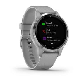 Smartwatch Garmin Vivoactive 4S Powder Gray/Silver SEU