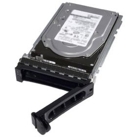 Dell 1TB 7.2K RPM SATA 6Gbps 512n 3.5in Cabled Hard Drive CK   - with server only