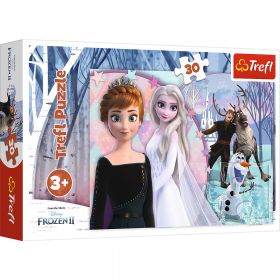 Puzzles 30 Magical Frozen